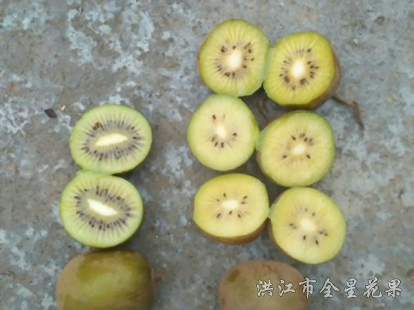 欽獼三號(hào)橫截面對(duì)比圖